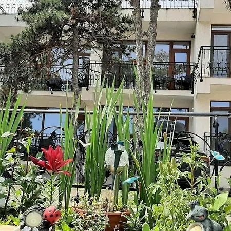 Pe Plaja Nr 9