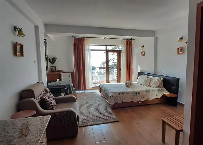 Pe Plaja Nr 9 Guest house